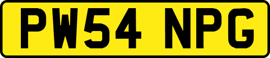 PW54NPG