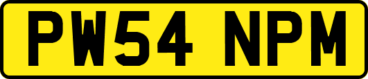 PW54NPM