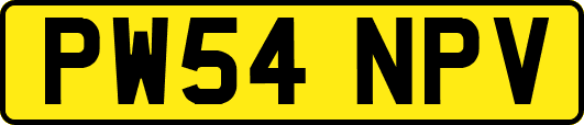 PW54NPV