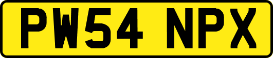 PW54NPX