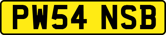 PW54NSB