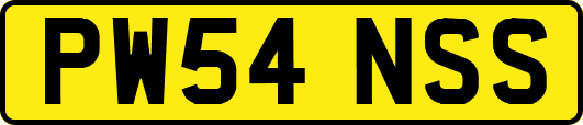 PW54NSS
