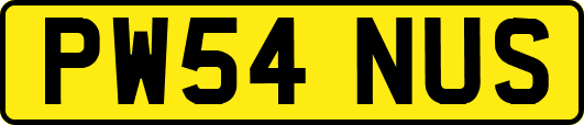 PW54NUS
