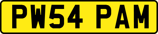PW54PAM