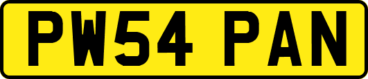 PW54PAN