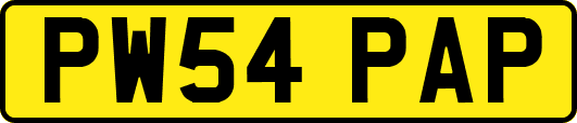 PW54PAP
