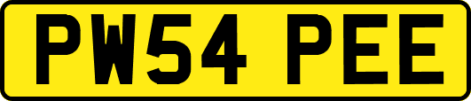 PW54PEE