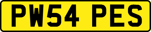 PW54PES