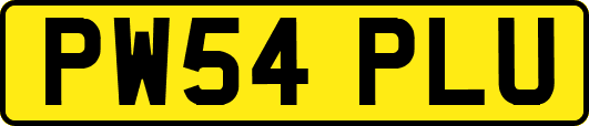 PW54PLU