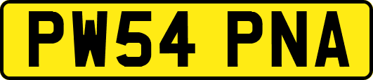 PW54PNA