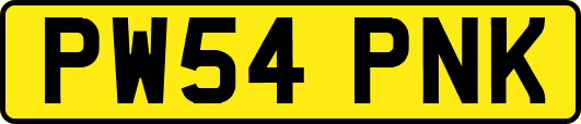 PW54PNK