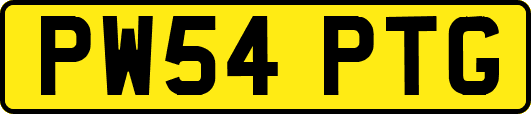 PW54PTG