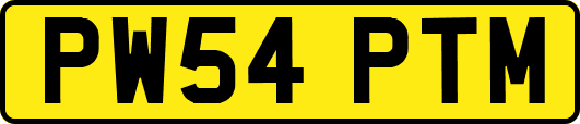 PW54PTM