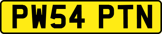 PW54PTN