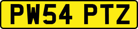 PW54PTZ