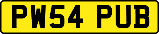 PW54PUB