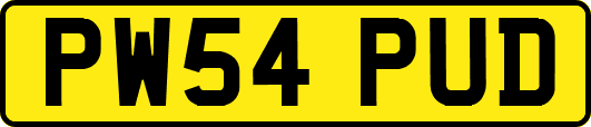PW54PUD