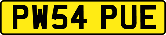 PW54PUE