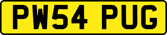 PW54PUG