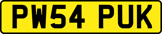 PW54PUK