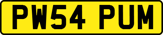 PW54PUM