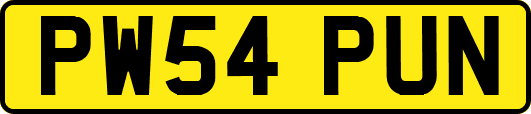 PW54PUN