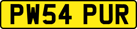 PW54PUR