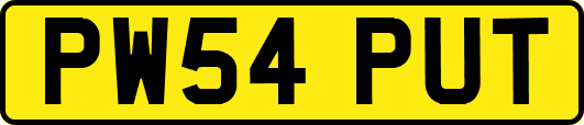 PW54PUT