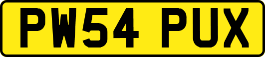 PW54PUX