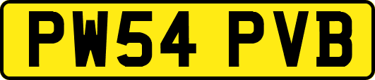PW54PVB