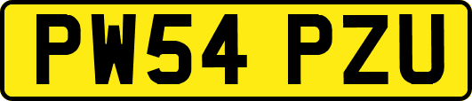 PW54PZU
