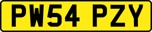 PW54PZY