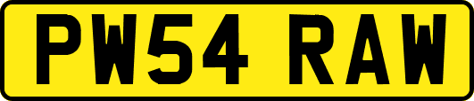 PW54RAW