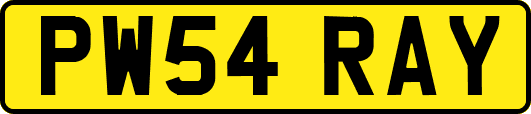PW54RAY