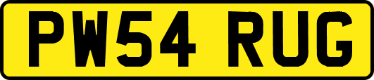 PW54RUG
