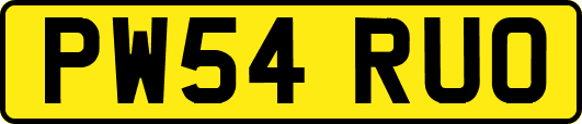 PW54RUO