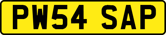 PW54SAP