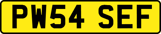 PW54SEF
