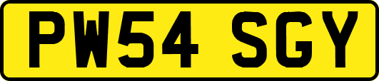 PW54SGY