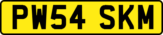PW54SKM