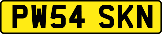 PW54SKN