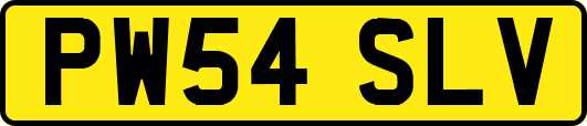 PW54SLV