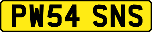 PW54SNS