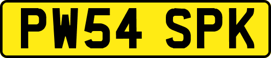 PW54SPK