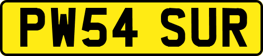 PW54SUR
