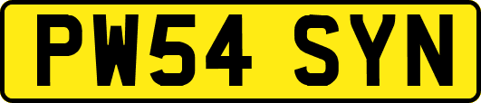 PW54SYN