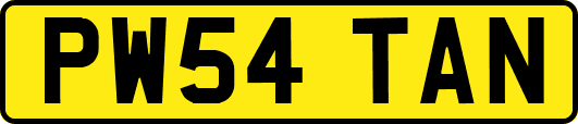 PW54TAN