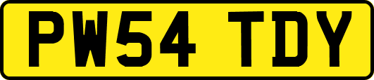 PW54TDY