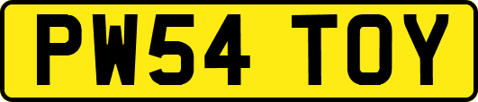 PW54TOY