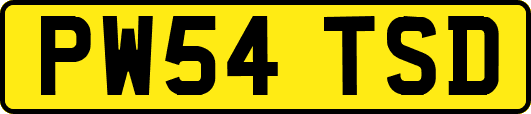 PW54TSD